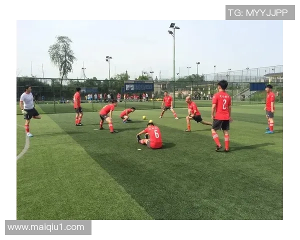 2017年巴西与荷兰激战回顾足球盛宴中的精彩瞬间与战术分析 2017年巴西与荷兰激战回顾足球盛宴中的精彩瞬间与战术分析